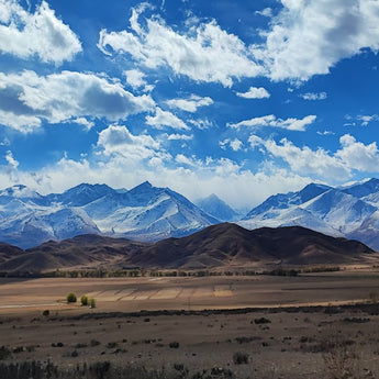 October 2022 Mining Site Visit Kazakhstan and Kyrgyzstan (already conducted)